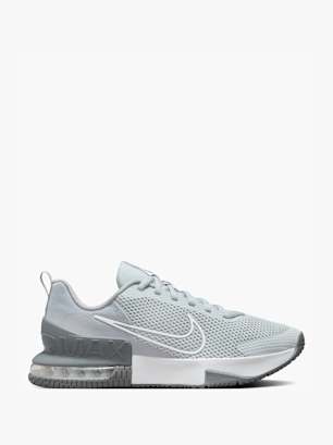 Nike Pantofi pentru antrenament Gri