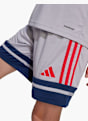 adidas Shorts Hellgrau 83219 4