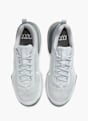 Nike Pantofi pentru antrenament Gri 49457 2